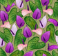 Decorative Pillow Cases